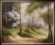 Fog Embraced Forest by Combe Limited Edition Pricing Art Print