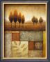 Plainview Ii by Michael Marcon Limited Edition Print
