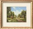 Summer Glow by H. Buchner Limited Edition Print