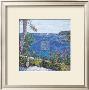 Les Aloes Du Cap by T. Forgione Limited Edition Print
