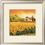 Valley Of Sunflowers (Detail) by Richard Leblanc Limited Edition Pricing Art Print
