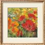 Oriental Poppy Field I by Carol Rowan Limited Edition Pricing Art Print