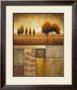 Plainview I by Michael Marcon Limited Edition Pricing Art Print