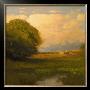 Evening Across The Marsh by John Mccormick Limited Edition Print