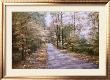 Autumn Path by Diane Romanello Limited Edition Pricing Art Print