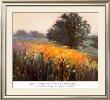 Misty Morning Iii by Jon R. Friedman Limited Edition Print