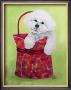 Bichon Carry-On by Carol Dillon Limited Edition Print
