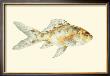 Speckled Goldfish by S. Matsubara Limited Edition Print