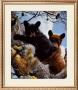 High Adventure by Carl Brenders Limited Edition Print