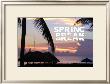 Spring Break by Marilu Windvand Limited Edition Print