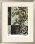 Brocade Botanical Ii by John Butler Limited Edition Print