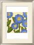 Annie Blue Ii by Karen Deans Limited Edition Pricing Art Print