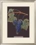 Purple Grapes by George Brookshaw Limited Edition Print