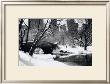 Central Park Bridge by Igor Maloratsky Limited Edition Pricing Art Print