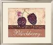 Blackberry by Steff Green Limited Edition Print