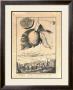 Lemon Of Scorza Gien Tile by Johann Christof Volckamer Limited Edition Print