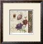 Floral Collage I by Paula Scaletta Limited Edition Pricing Art Print