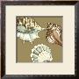 Shell Trio On Khaki Iii by Megan Meagher Limited Edition Pricing Art Print