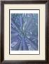 Woodland Plants In Blue Ii by Sharon Chandler Limited Edition Print
