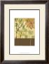 Printed Tranquil Garden I by Jennifer Goldberger Limited Edition Pricing Art Print