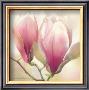 Magnolia Nigra by Annemarie Peter-Jaumann Limited Edition Pricing Art Print