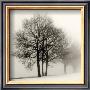 Winter Grove by Ilona Wellmann Limited Edition Pricing Art Print