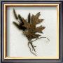 Oak Leaf by Dick & Diane Stefanich Limited Edition Pricing Art Print