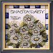 Shasta Daisy by Joy Marie Heimsoth Limited Edition Print
