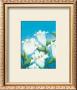 Fresh Lilies by Alicia Sloan Limited Edition Print