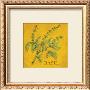 Basil by Kate Mcrostie Limited Edition Print