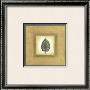 Autumn Leave Iv by Saskia Ganzeveld Limited Edition Print