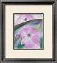 Petunia No. 2 by Georgia O'keeffe Limited Edition Pricing Art Print