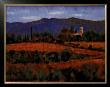 Tuscan Hills by Paul Curtis Limited Edition Pricing Art Print