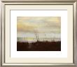 Sunrise Stroll Iv by Jennifer Goldberger Limited Edition Pricing Art Print