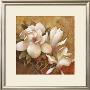 Sweet Magnolia I by Elaine Vollherbst-Lane Limited Edition Print