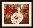 Tropical Allure Ii by Katrina Craven Limited Edition Pricing Art Print
