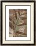Moroccan Palm I by Jennifer Goldberger Limited Edition Pricing Art Print