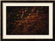 Travaux Des Champs by Yann Arthus-Bertrand Limited Edition Pricing Art Print