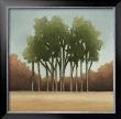 Stand Of Trees I by Ethan Harper Limited Edition Pricing Art Print