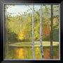 Cooper Lake, Autumn by Elissa Gore Limited Edition Print
