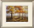 Stephen Douglas Pricing Limited Edition Prints