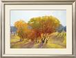 Autumn Day Ii by Kim Coulter Limited Edition Print