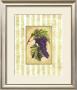 Napa Varietal I by Susan Davies Limited Edition Print