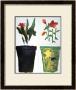 Pots De Fleurs No. 129-130 by Gerard Gasiorowski Limited Edition Print