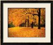 Gold Of Autumn West by M. Ellen Cocose Limited Edition Print