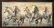 Wild Horses by Ralph Steele Limited Edition Print