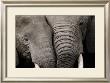 Calin D'elephants by Michel & Christine Denis-Huot Limited Edition Print