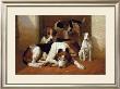 Foxhounds And A Terrier by E.A.S. Douglas Limited Edition Print