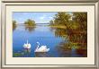 Swans On The Lake by Slava Limited Edition Pricing Art Print