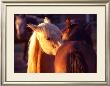 Telling Secrets by Sara Stafford Limited Edition Pricing Art Print